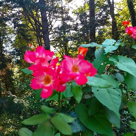 Casa de Férias Elementi Fuoco