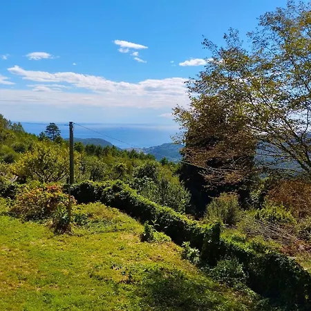 Ferienhaus Elementi Fuoco Magliolo